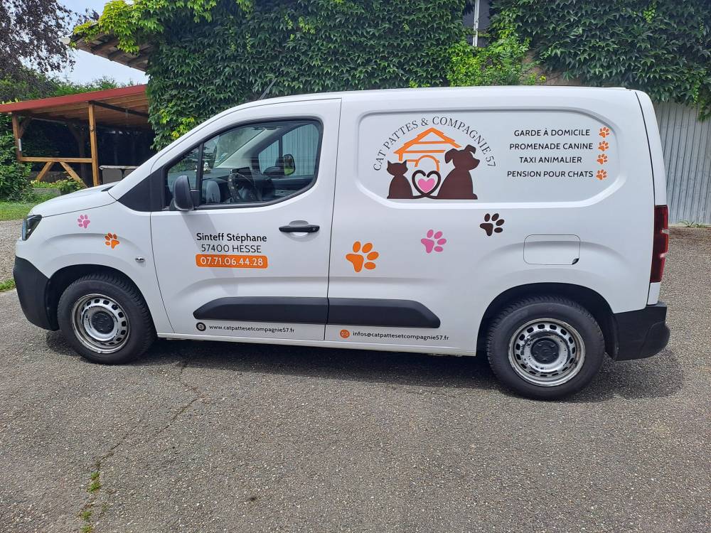 voiture maj